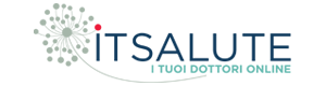 IT.Salute logo